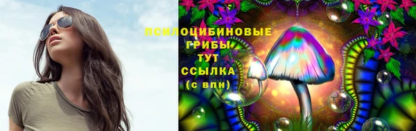 мяу мяу мука Пролетарск