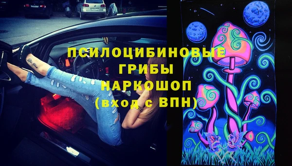 мяу мяу мука Пролетарск