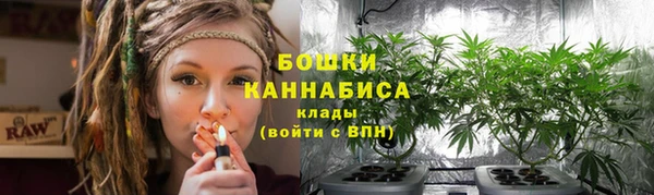 мяу мяу мука Пролетарск