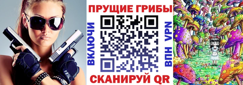 Галлюциногенные грибы Psilocybine cubensis  Магнитогорск 